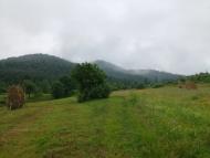 Перегінське - Останні фото