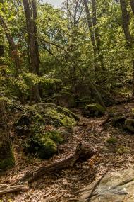 Запрудне з panoramio.com