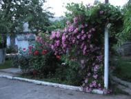 Рункошів з panoramio.com