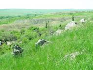 Селезнівка з panoramio.com