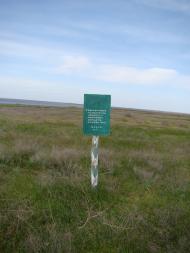 Волошине з panoramio.com