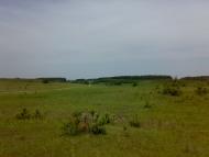 Голики з panoramio.com