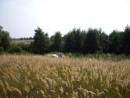 Боровичі - Останні фото