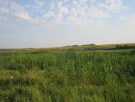 Сурське з panoramio.com