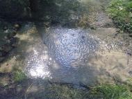 Приморське з panoramio.com