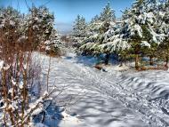 Черемошня - Останні фото