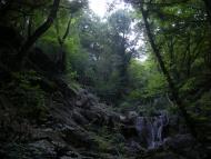 Семидвір'я з panoramio.com