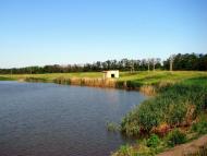 Ялта - Последние фото