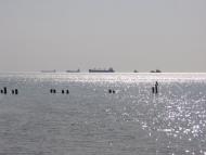 Гвардійське з panoramio.com