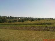 Шаргород з panoramio.com