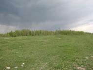 Нетратівка - Останні фото