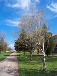 Чернігівка з panoramio.com