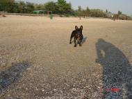 Кошари з panoramio.com