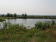 Кринички з panoramio.com