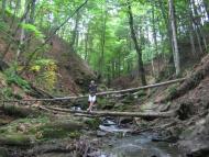 Подобовець з panoramio.com (ч.2)