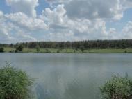 Макорти - Останні фото