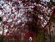 Зимне з panoramio.com