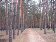 Попасна з panoramio.com