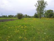 Дуболугівка з panoramio.com