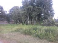 Терехівка з panoramio.com