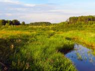 Турійськ з panoramio.com