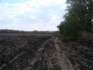 Мажари з panoramio.com