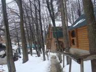 Кринцілів з panoramio.com