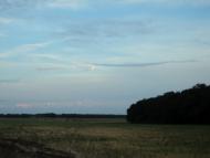 Сєверне з panoramio.com