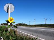 Українка з panoramio.com