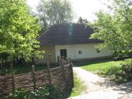 Шевченкове з panoramio.com