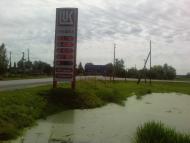 Верба з panoramio.com