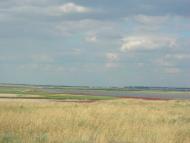 Волошине з panoramio.com