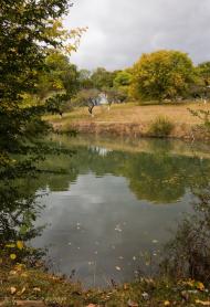 Мишковичі з panoramio.com