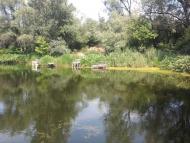 Придніпровське з panoramio.com