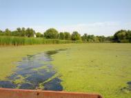 Кам'яний Брід з panoramio.com