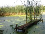 Кам'яний Брід з panoramio.com