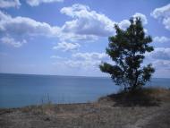 Гвардійське з panoramio.com