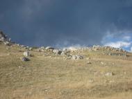 Відважне з panoramio.com