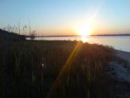 Новобогданівка з panoramio.com