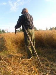 Петрове з panoramio.com