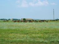 Водяне з panoramio.com