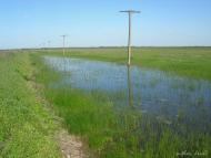 Водяне з panoramio.com