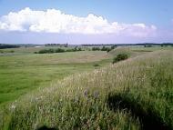 Озеро з panoramio.com