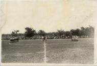 Пантелеймонівка з panoramio.com