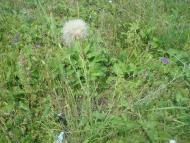 Рудківці з panoramio.com