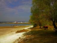 Тургенєвка - Останні фото