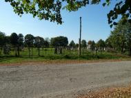 Семенівка з panoramio.com