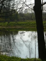 Великі Макари з panoramio.com