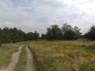 Василівка з panoramio.com