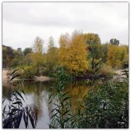 Шульгівка з panoramio.com